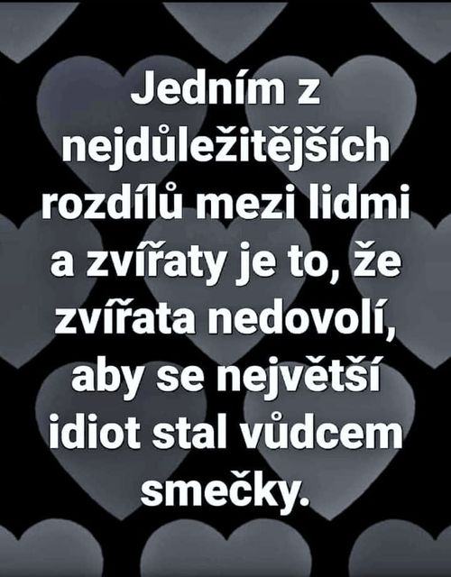 Obrázek vudce smecky