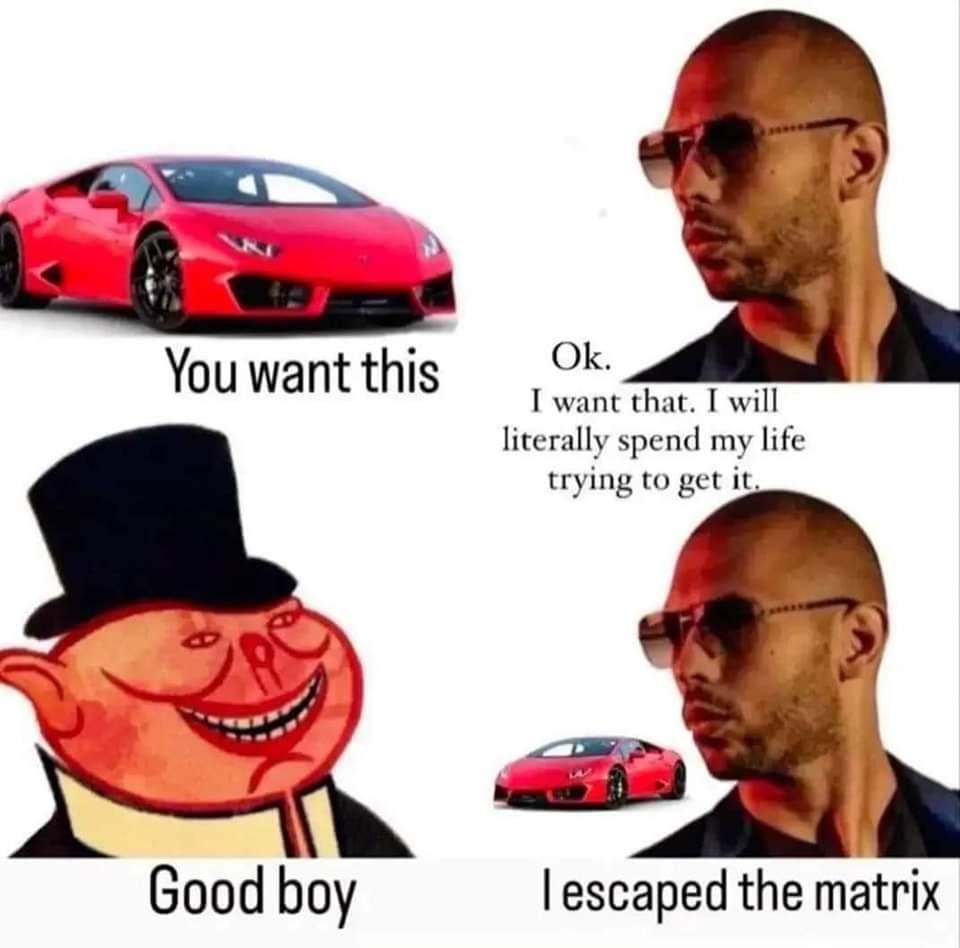 Obrázek wannabe apha male