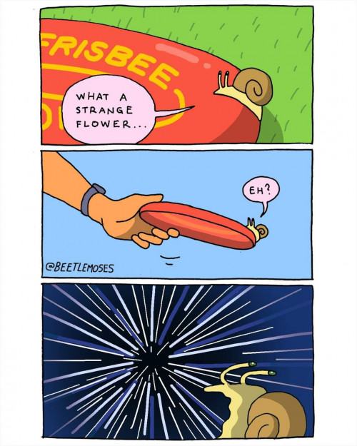 Obrázek warp speed