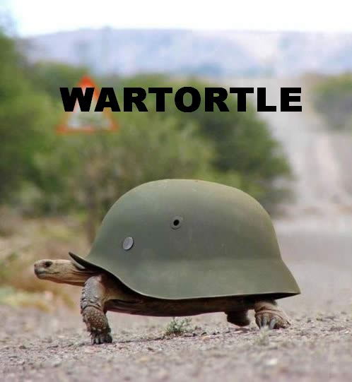 Obrázek wartortle