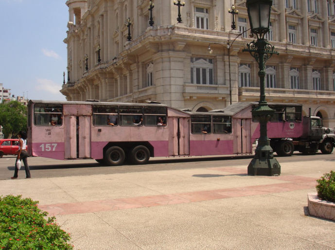 Obrázek weird bus