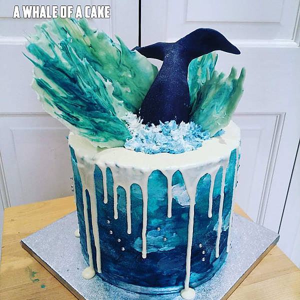 Obrázek whale-cake 