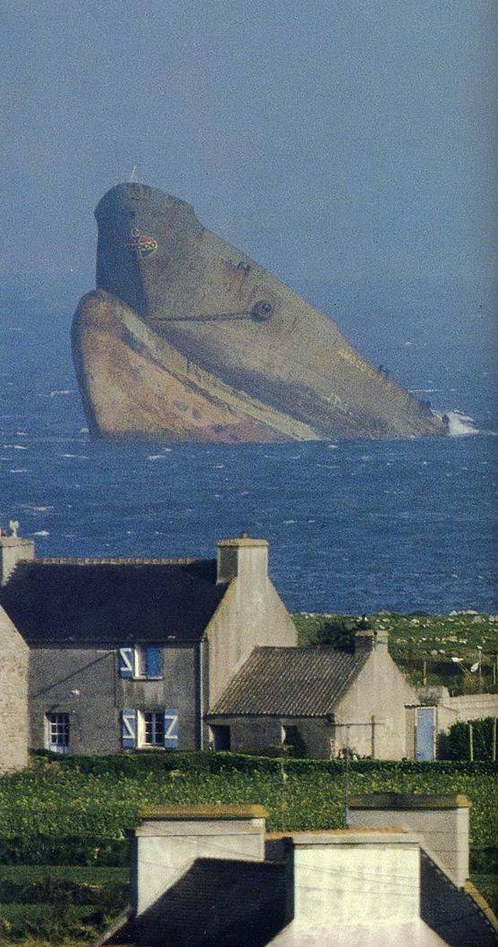 Obrázek whaleship   