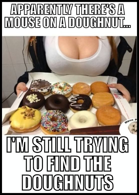 Obrázek what doughnuts 540
