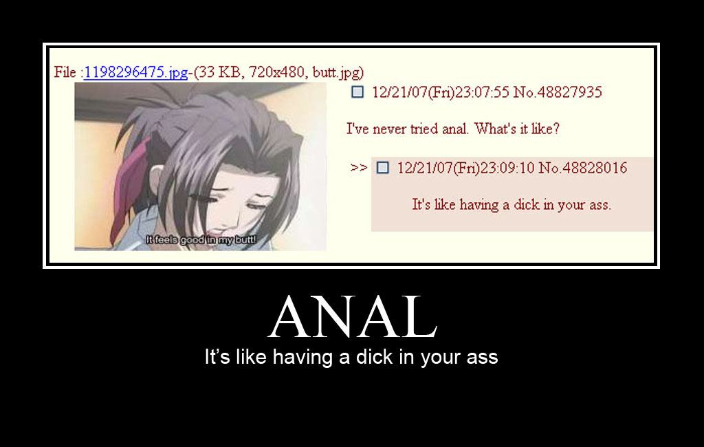 Obrázek what is anal like