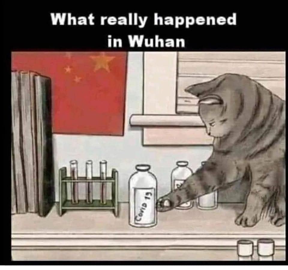 Obrázek what really happened in wuhan