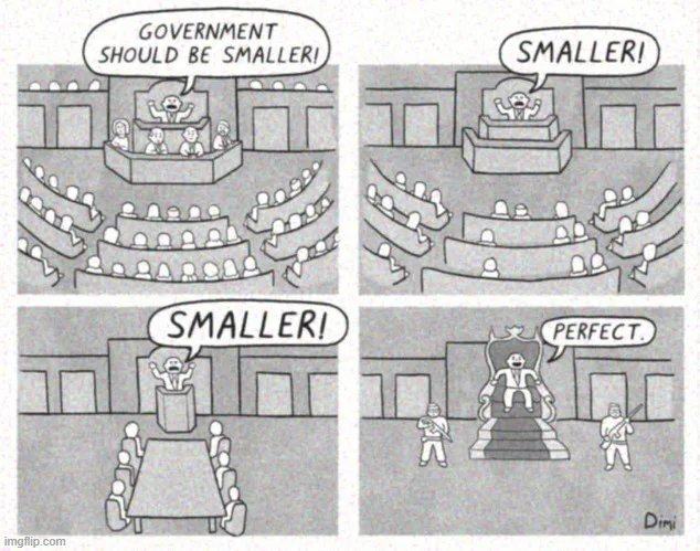 Obrázek what smalller gov sometimes mean