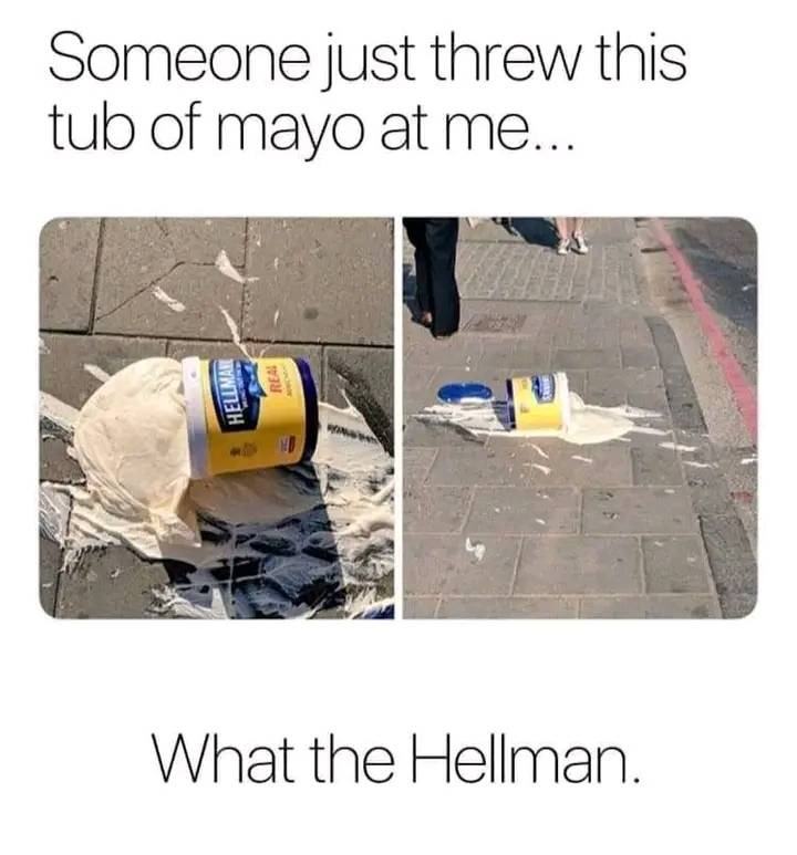 Obrázek what the hellmans