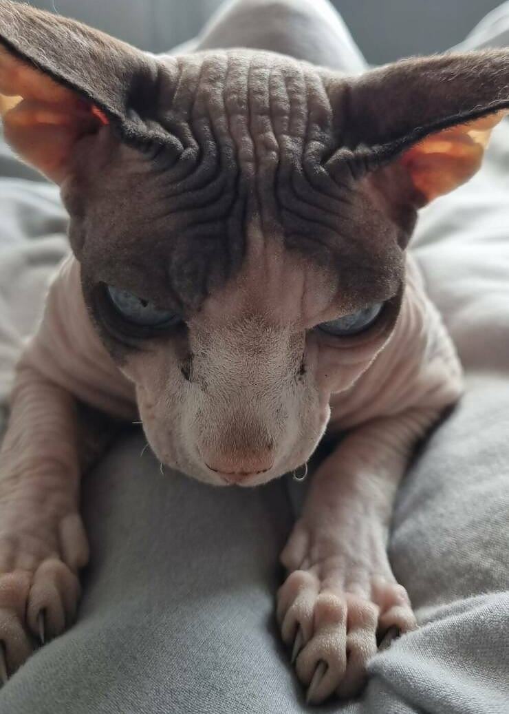 Obrázek when I have to go to work