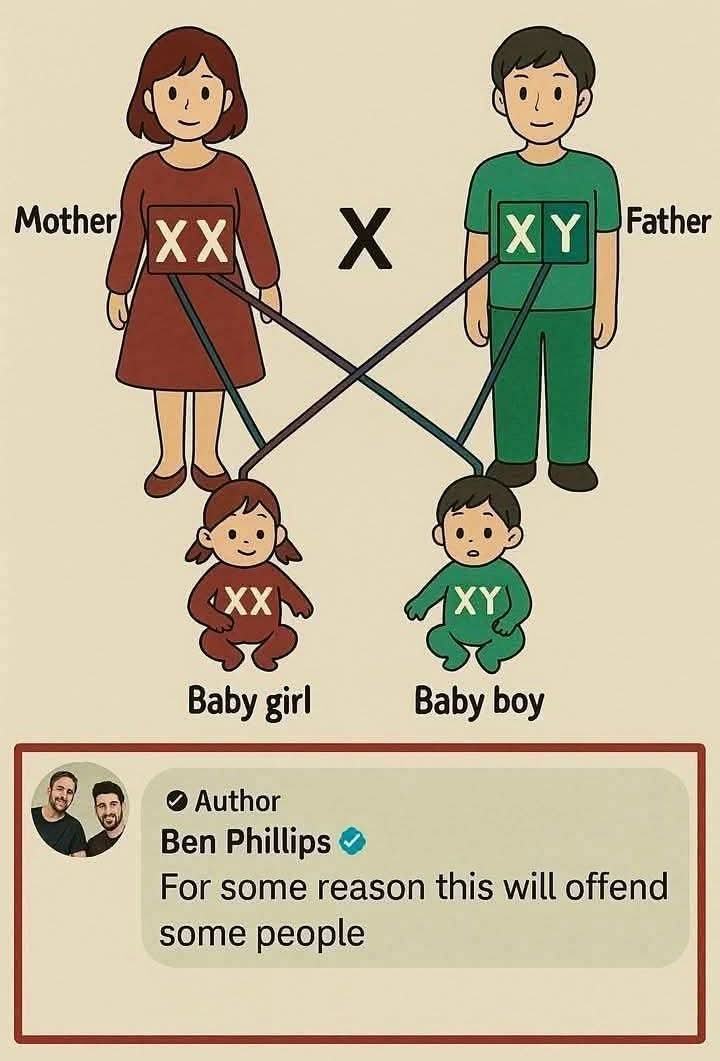 Obrázek where the rest