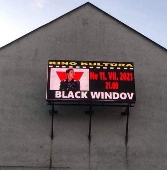 Obrázek white black widow