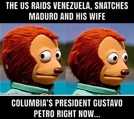 Obrázek whos&nbsp;next