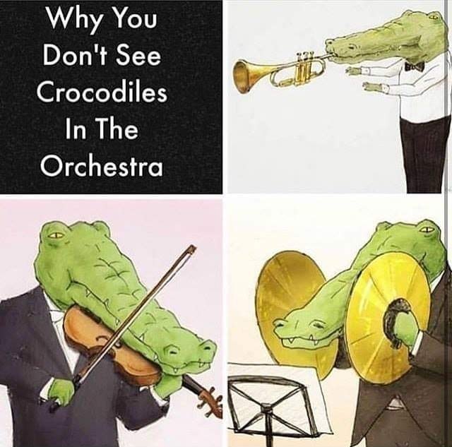 Obrázek why are there no crocodiles in the orchestra