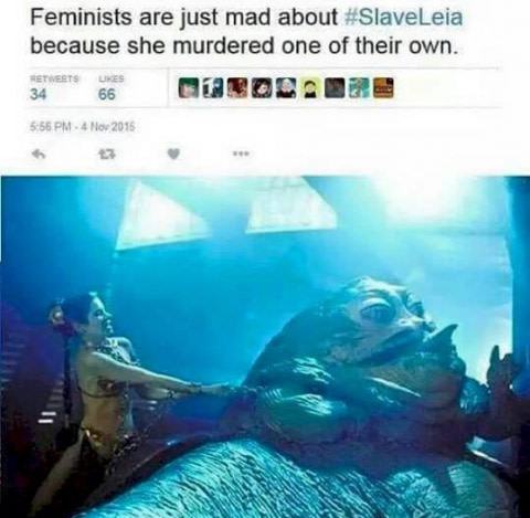 Obrázek why feminists hate Leia