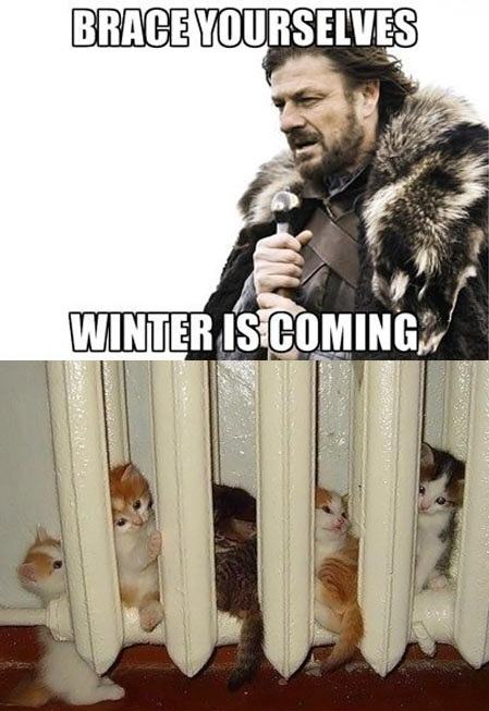 Obrázek winter is coming  