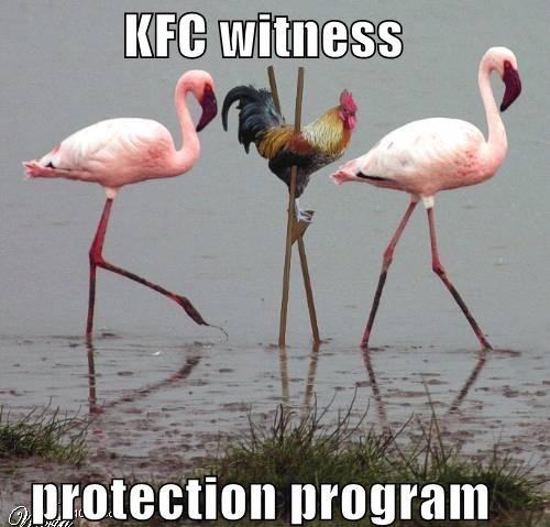 Obrázek witness protection