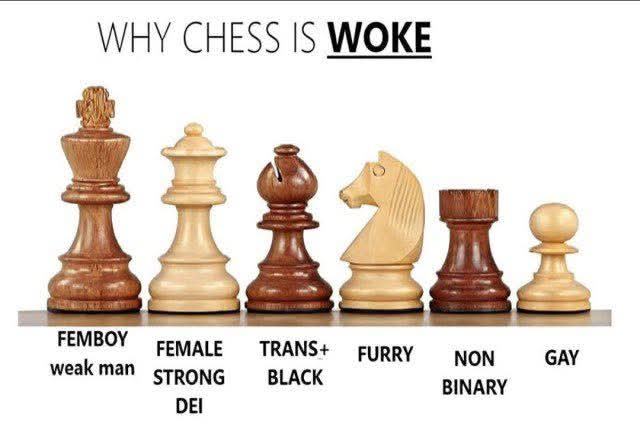 Obrázek woke chess