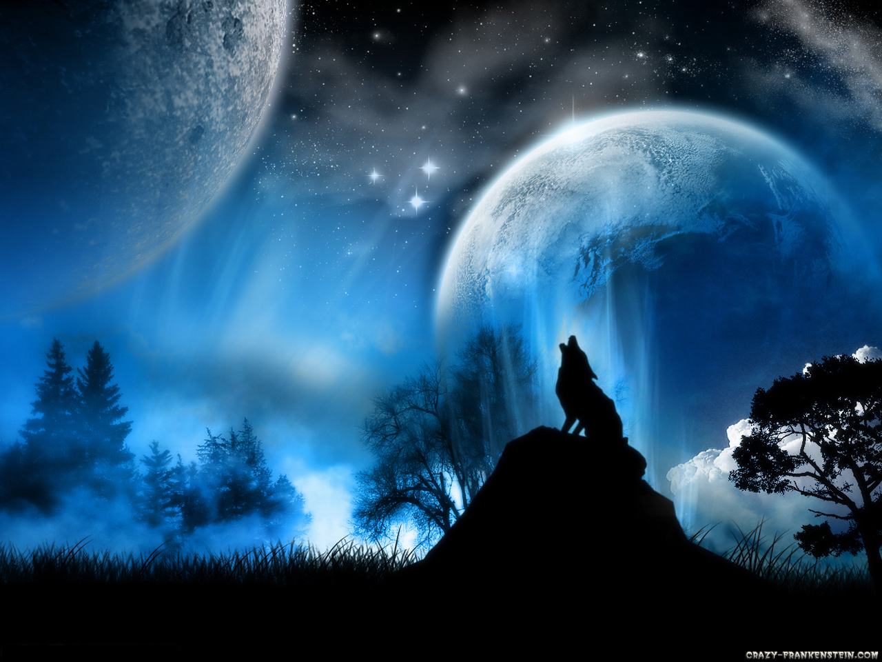 Obrázek wolf-at-moonlight-wallpaper