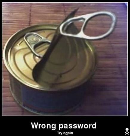 Obrázek wrong password