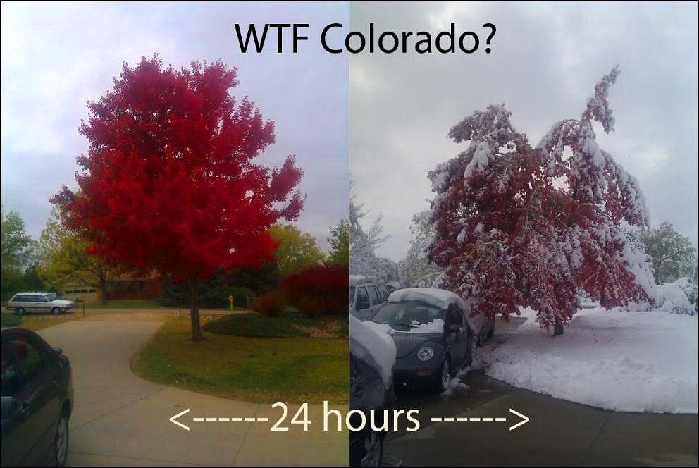 Obrázek wtf colorado