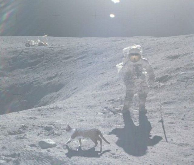 Obrázek wtf on the moon