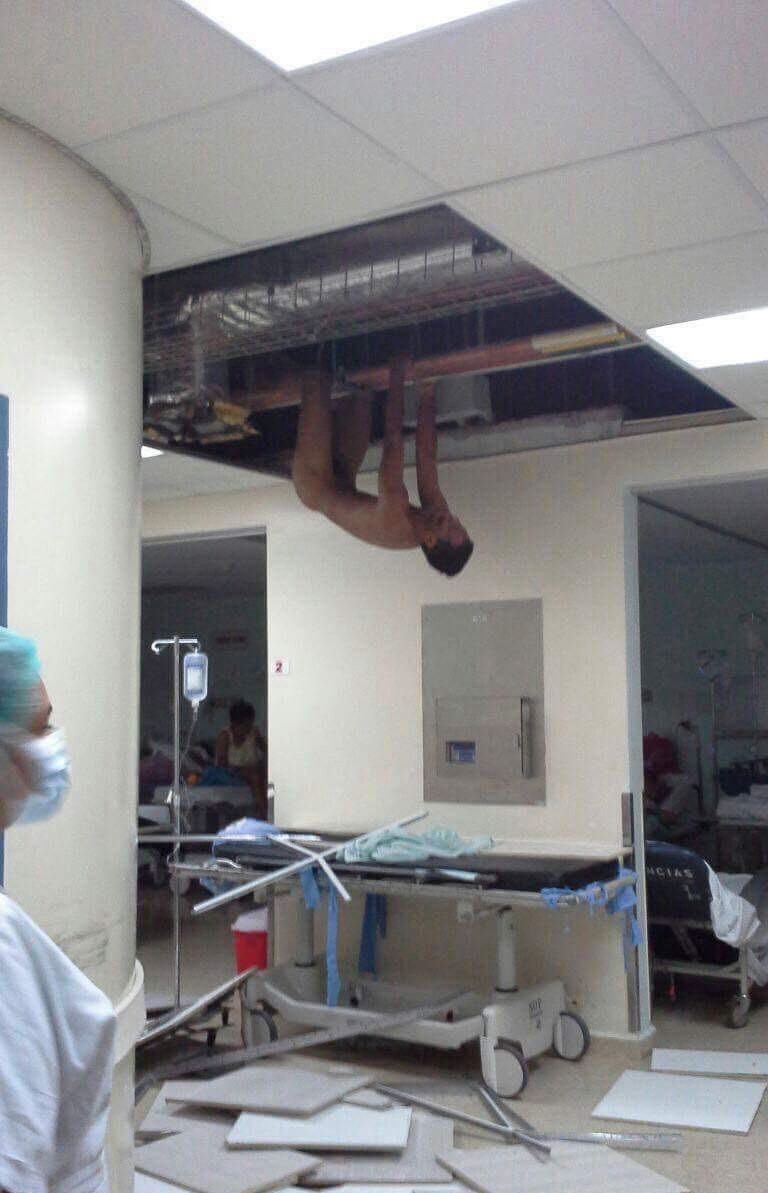 Obrázek wut  2521