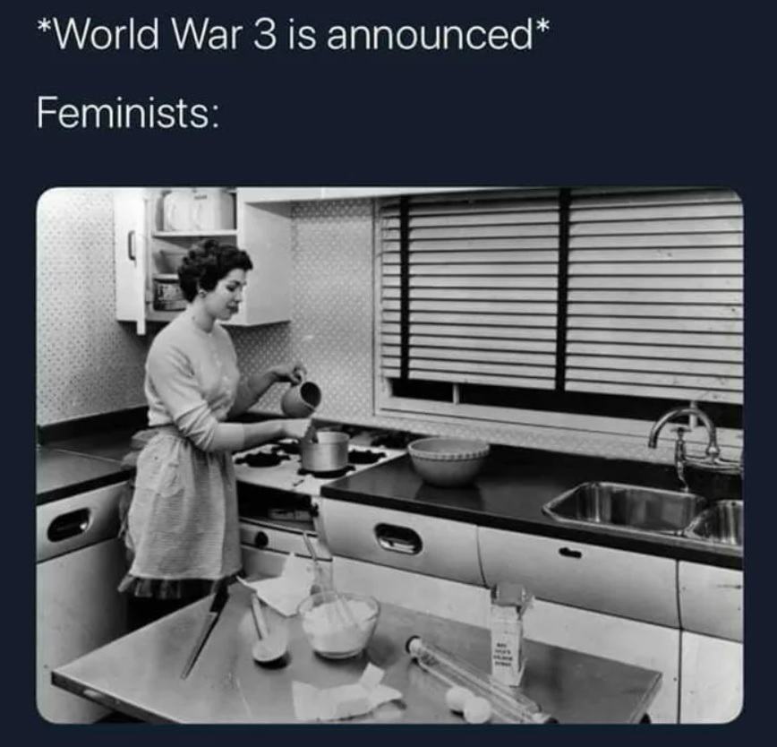 Obrázek ww3 a feminism