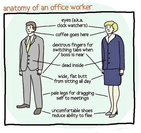 Obrázek xAnatomy of an office worker - 25-05-2012
