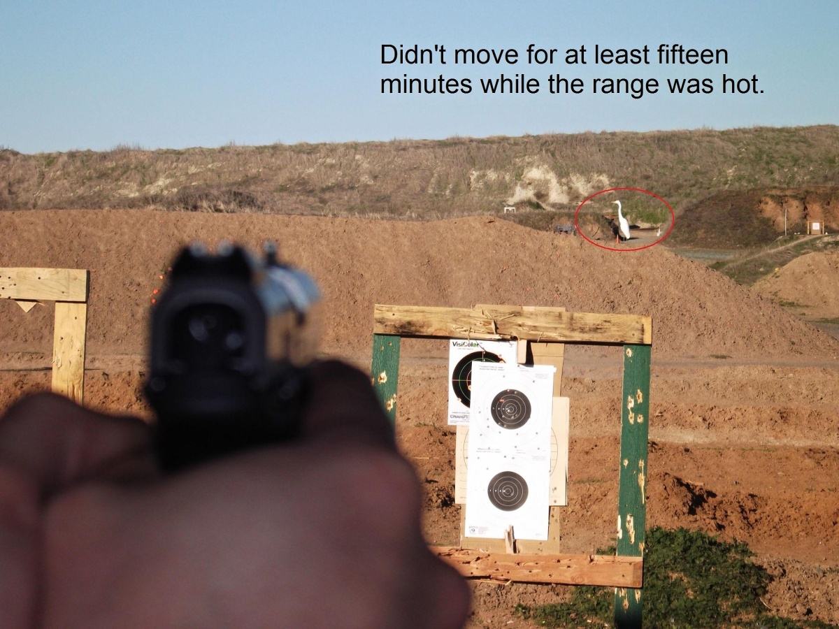 Obrázek xAnd not a single fuck was given today at the shooting range 20-02-2012