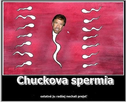 Obrázek xChuck Norris Sperm 16-03-2012