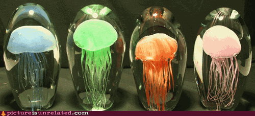 Obrázek xDead Jellyfish Lamps 15-03-2012