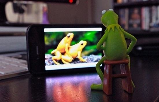 Obrázek xEven Kermit Needs to Relax 01-02-2012