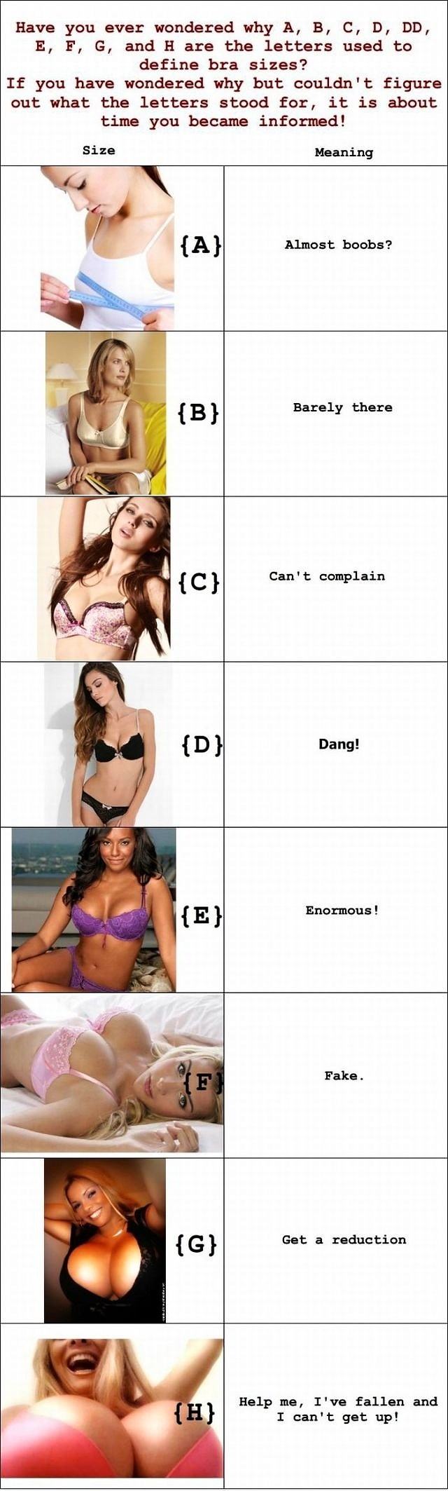 Obrázek xExplanation of bra sizes 20-03-2012
