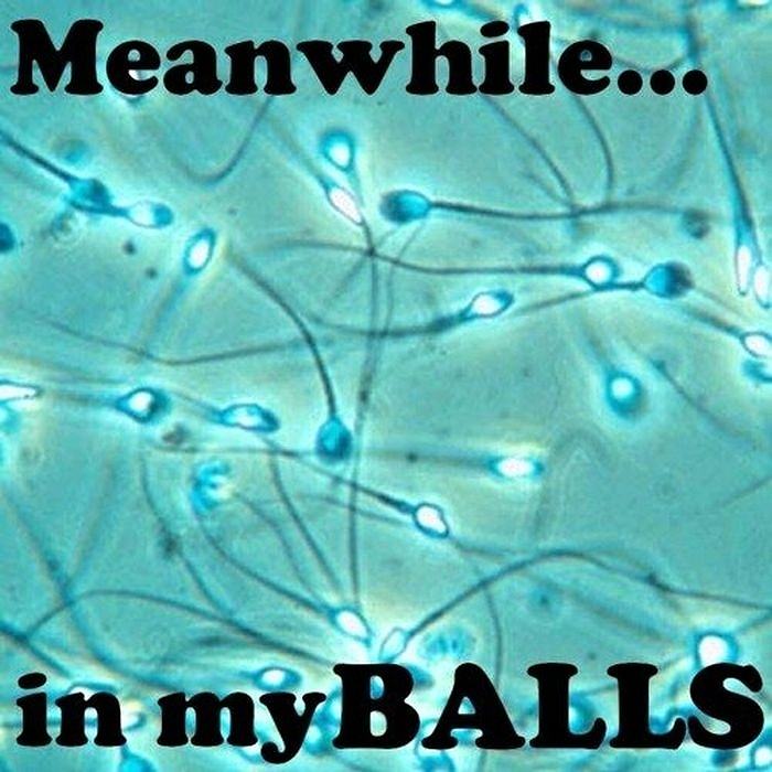 Obrázek xMeanwhile in my balls - 15-05-2012