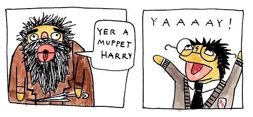 Obrázek xMuppet Harry