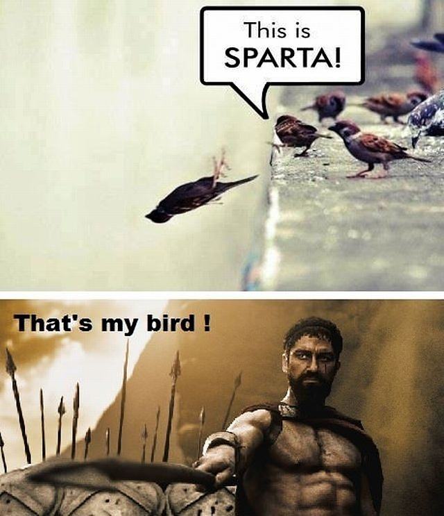Obrázek xThis is Sparta - 14-05-2012