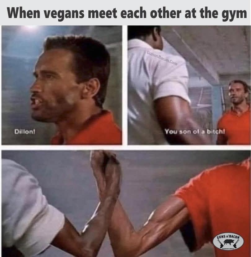 Obrázek xyz vegani
