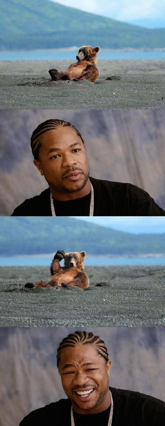 Obrázek xzibit50