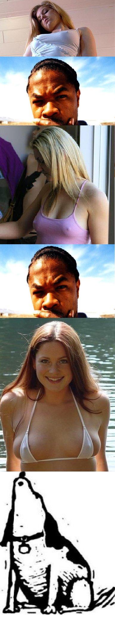 Obrázek xzibit pfff