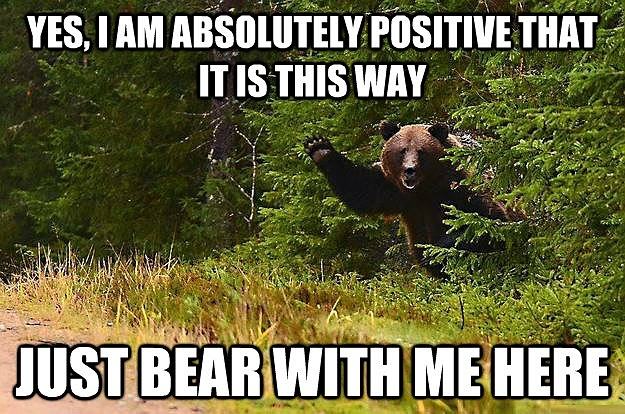 Obrázek yes i am absolutely positive