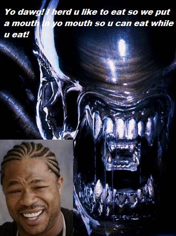 Obrázek yo dawg