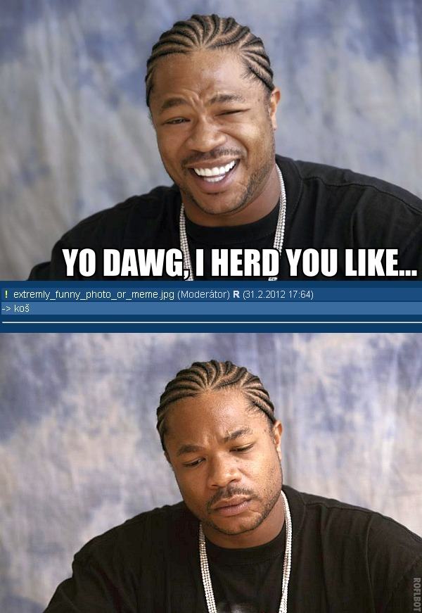 Obrázek yo dawg roumen