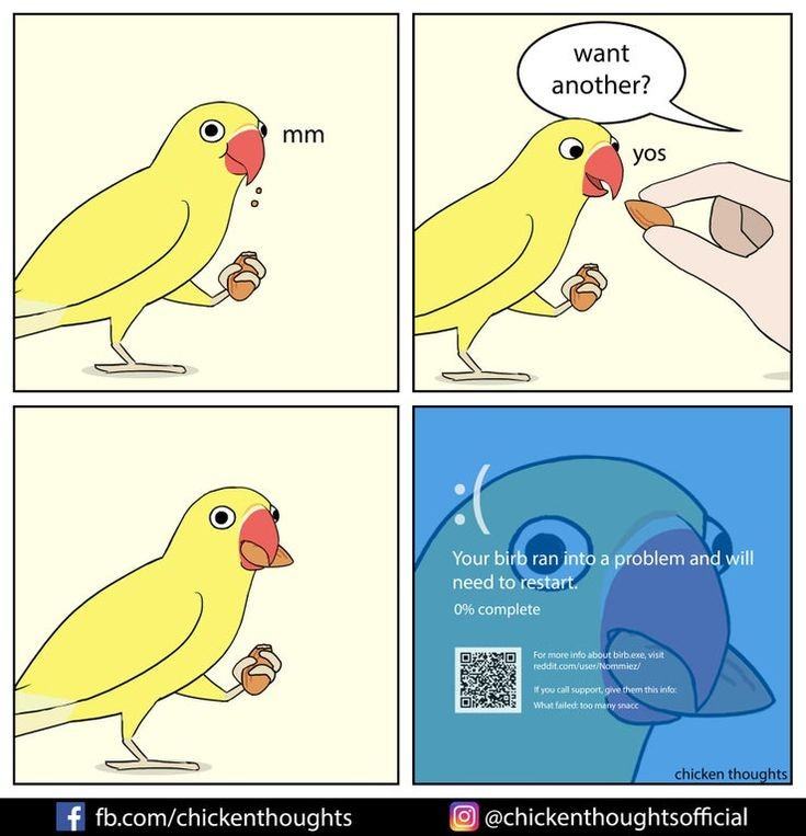Obrázek yostart