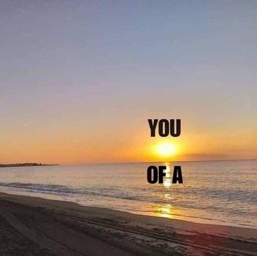 Obrázek you of a