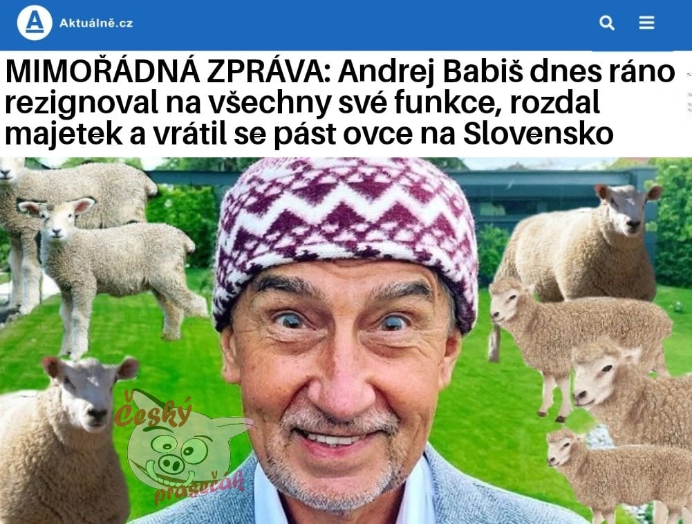 Obrázek you wish