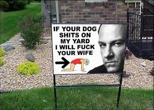 Obrázek your dog