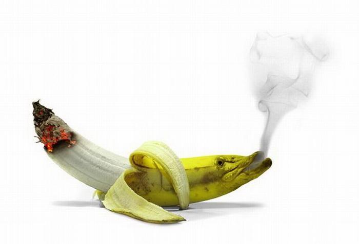 Obrázek z bananu kurak