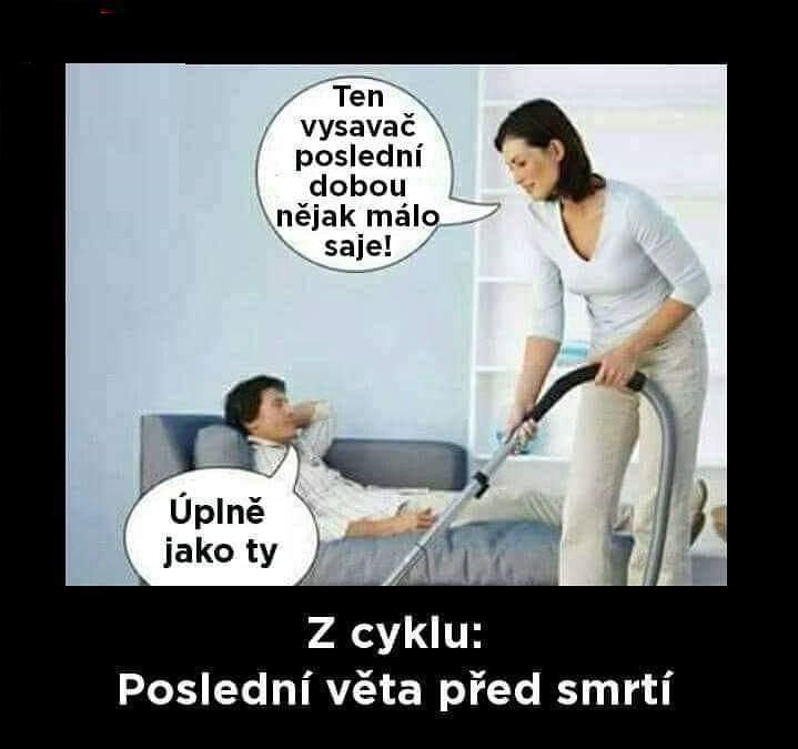 Obrázek z cyklu posledni veta