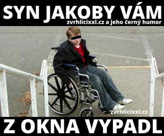 Obrázek z okna vypadl