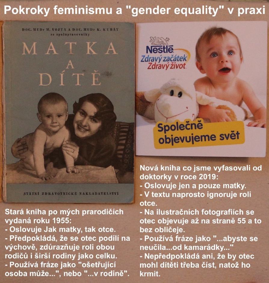 Obrázek z toho feminismu mam uplne rovne pohlavi